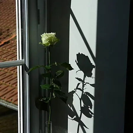 Le Clos D'esquay, Cote Seulles B&B 3*